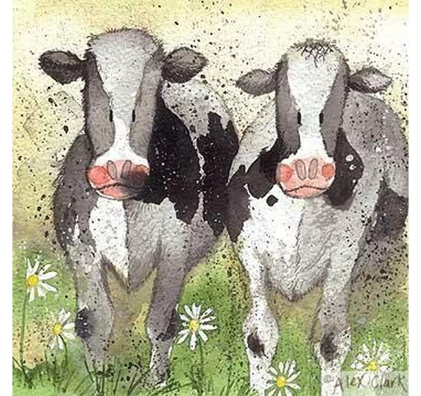 Curious Cows - Card