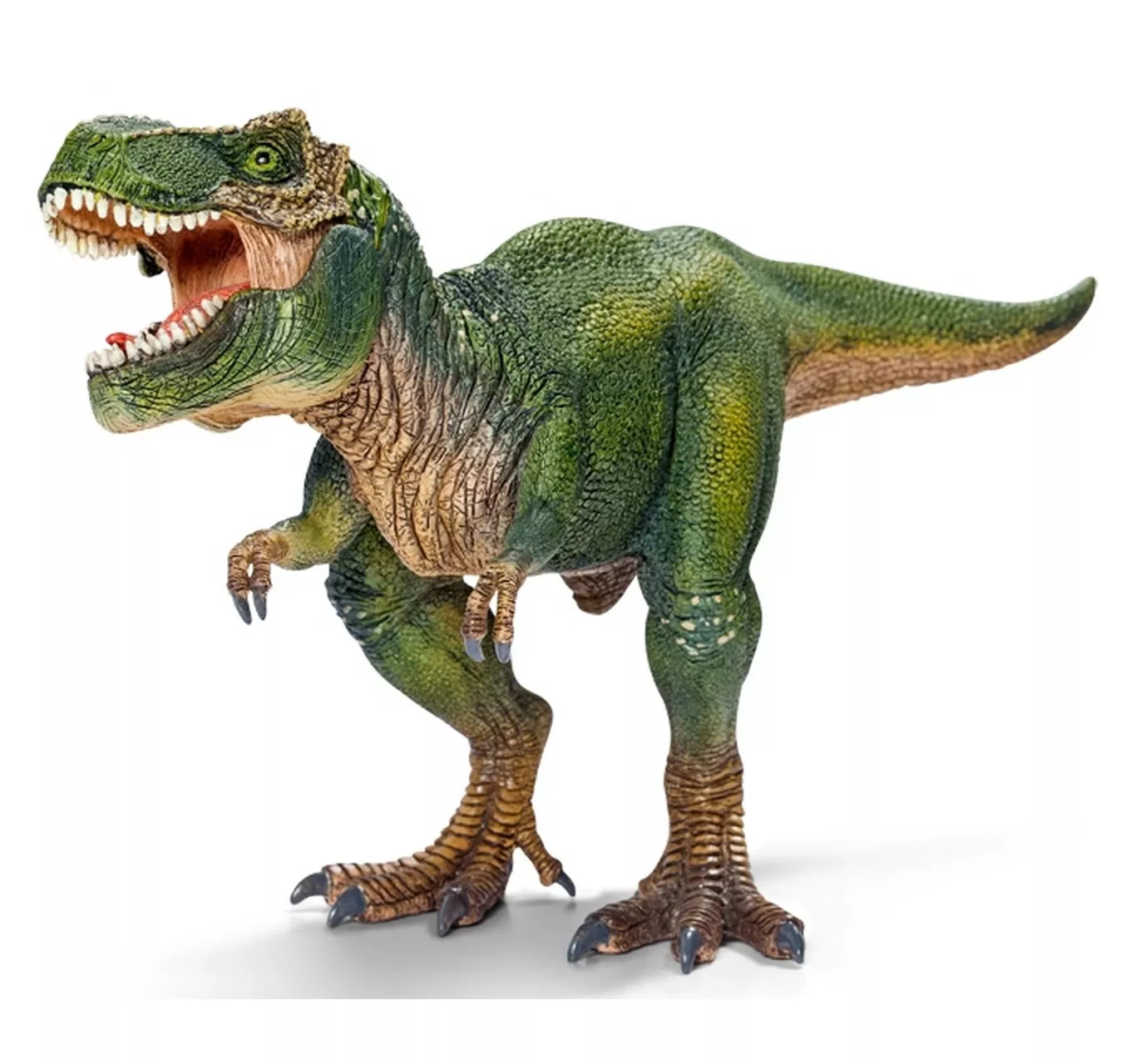 Tyrannosaurus Rex 14525