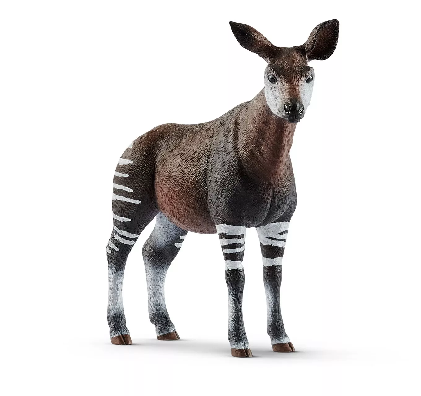 Okapi