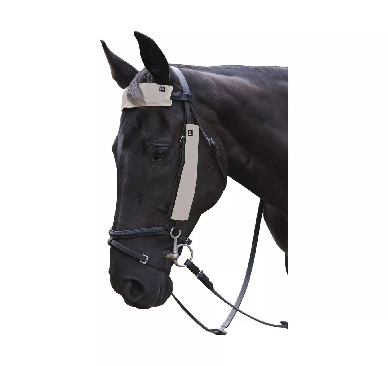 Silva Flash Bridle Set