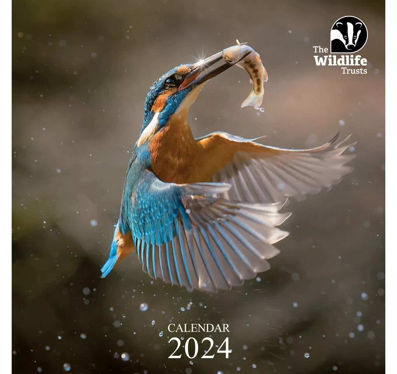 Wildife Trust Calender 2024