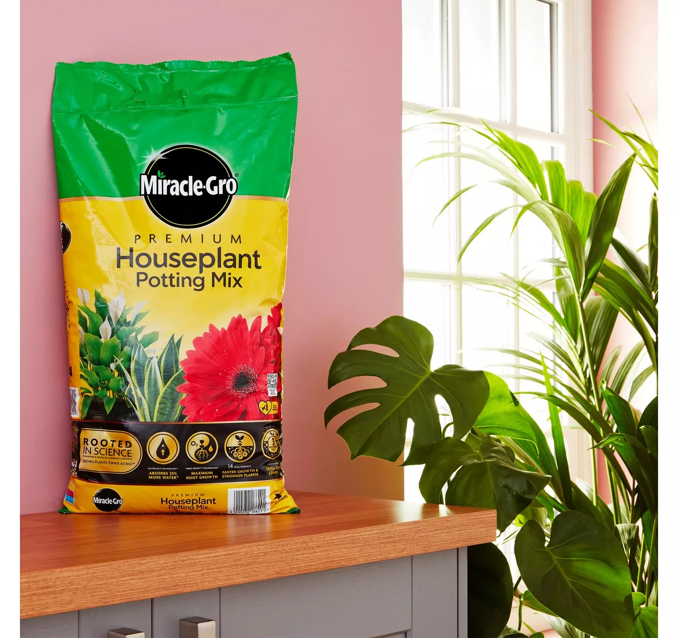 Peat Free House Plant Potting Mix 10L