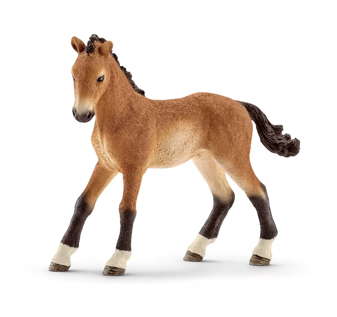 Tennessee Walker Foal