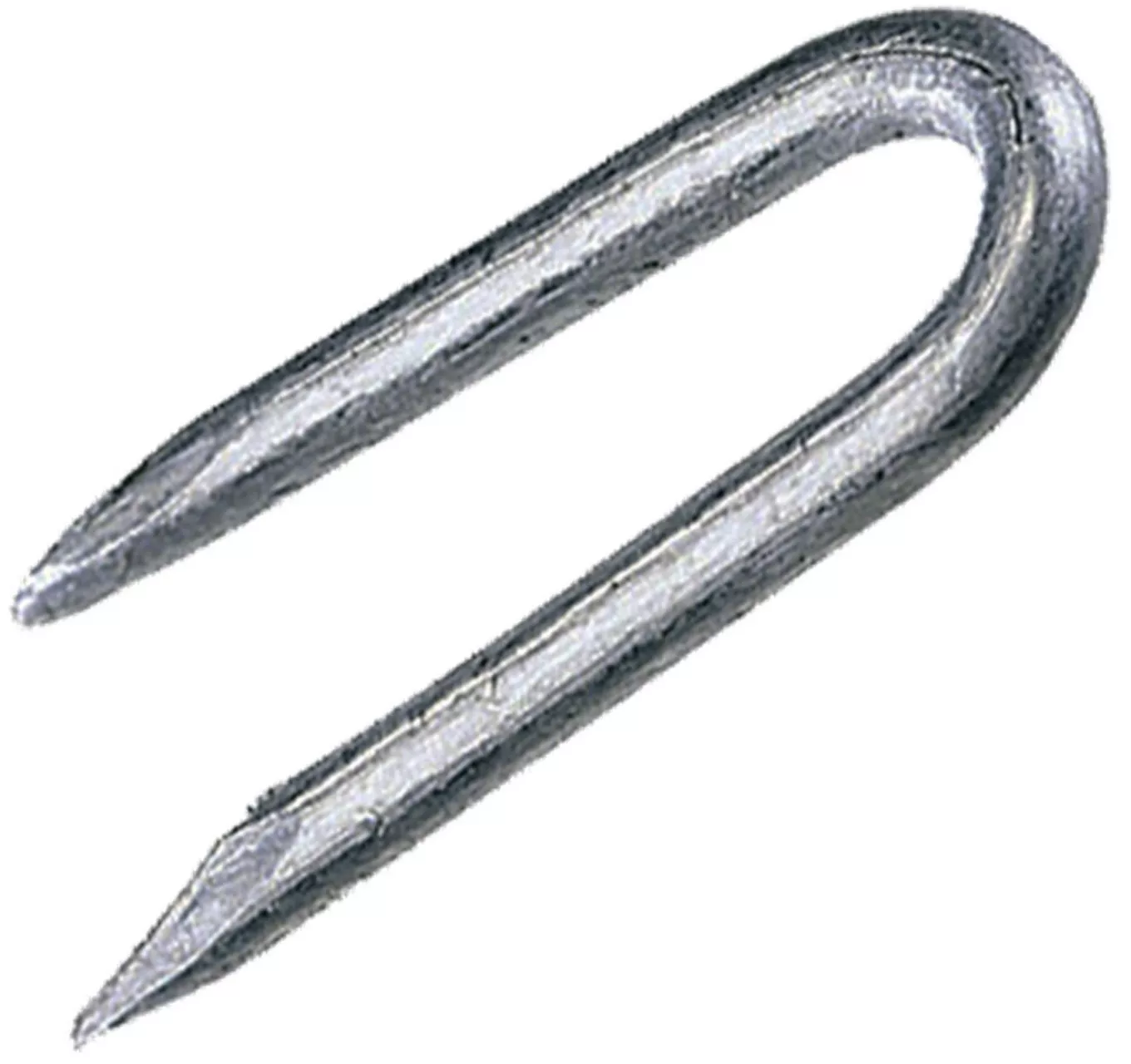 Staples 1.60x15mm 500g