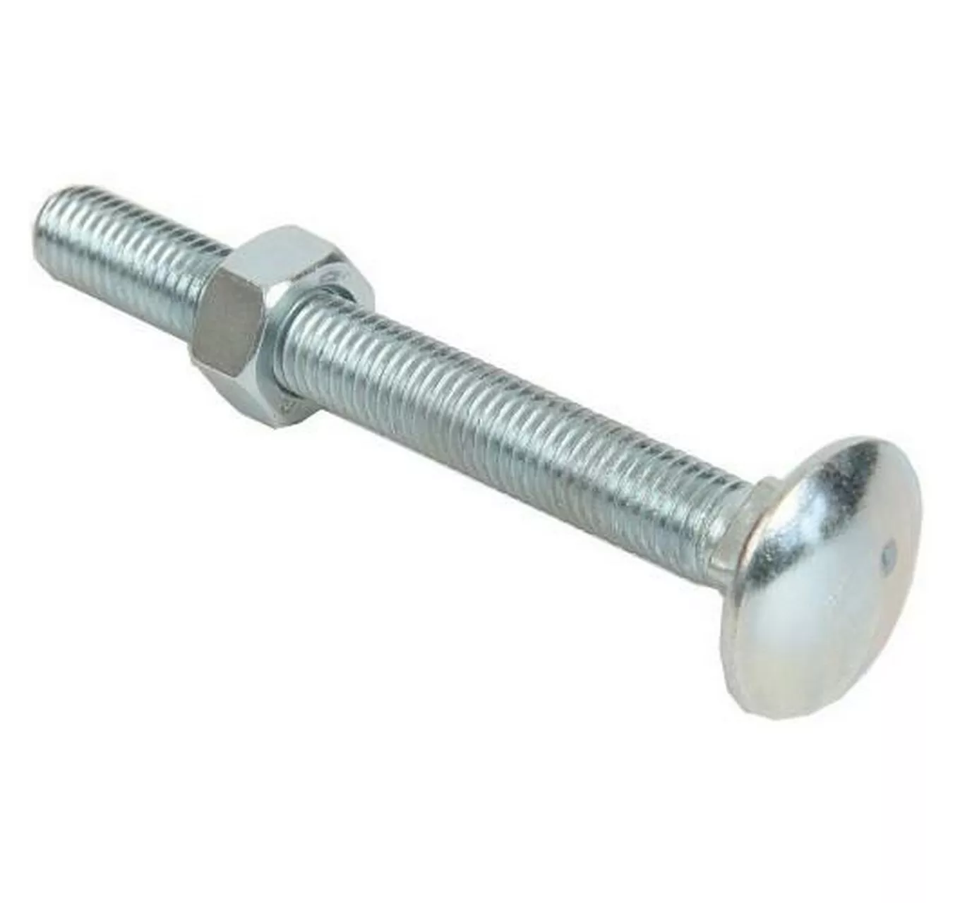 Coach Bolt & Nut M6x100 6pk