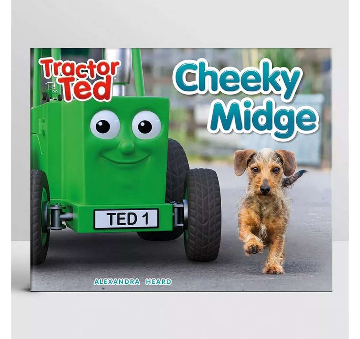 Cheeky Midge Book