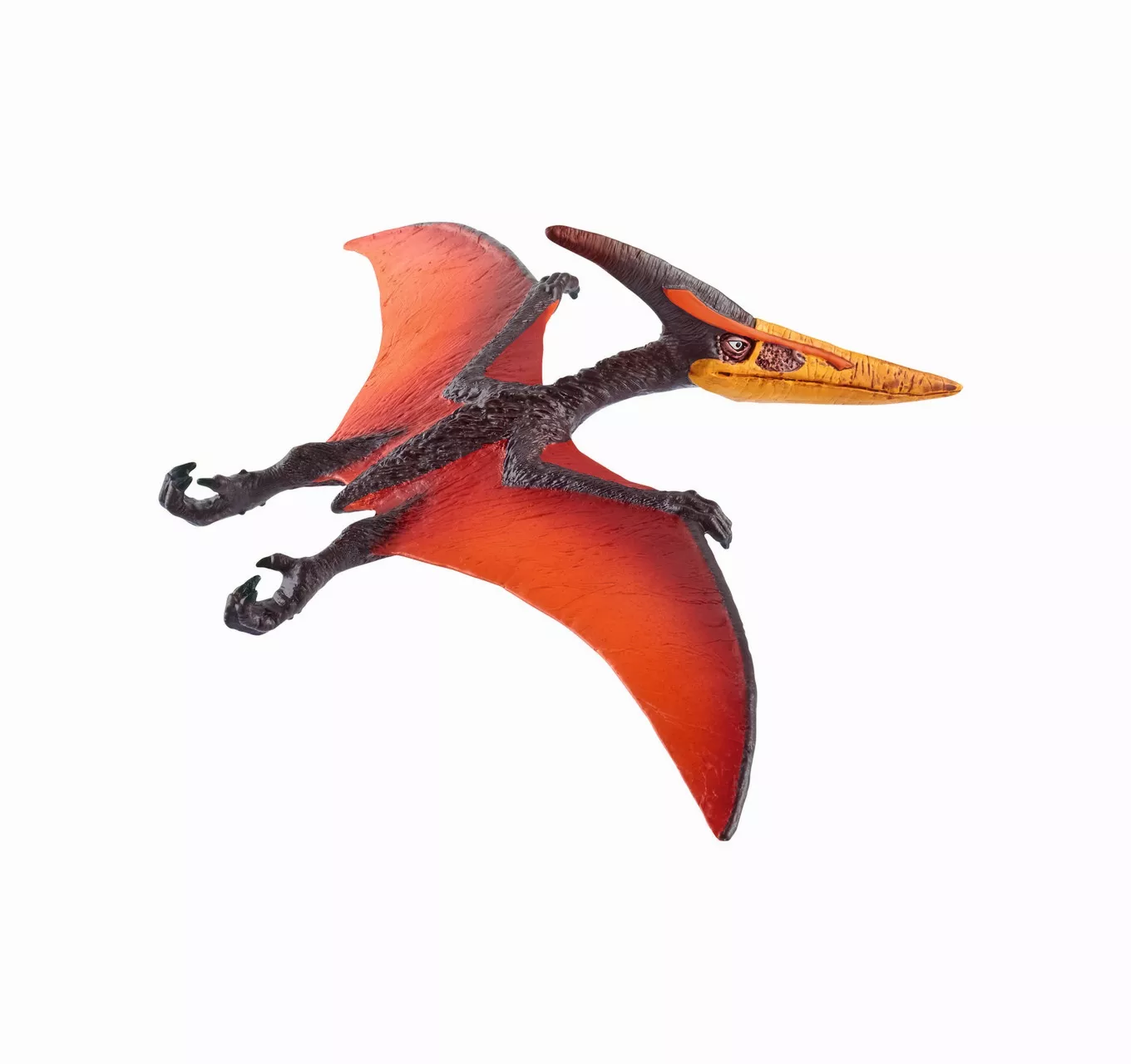 Pteranodon