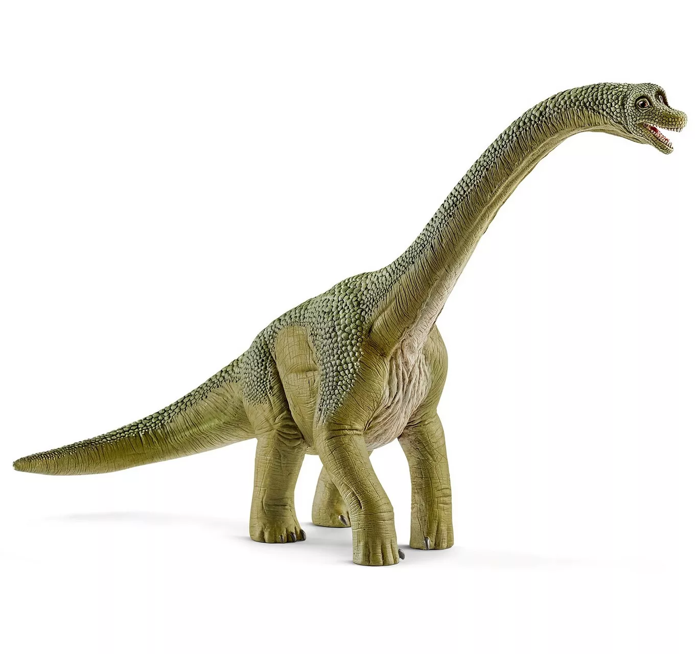 Brachiosaurus