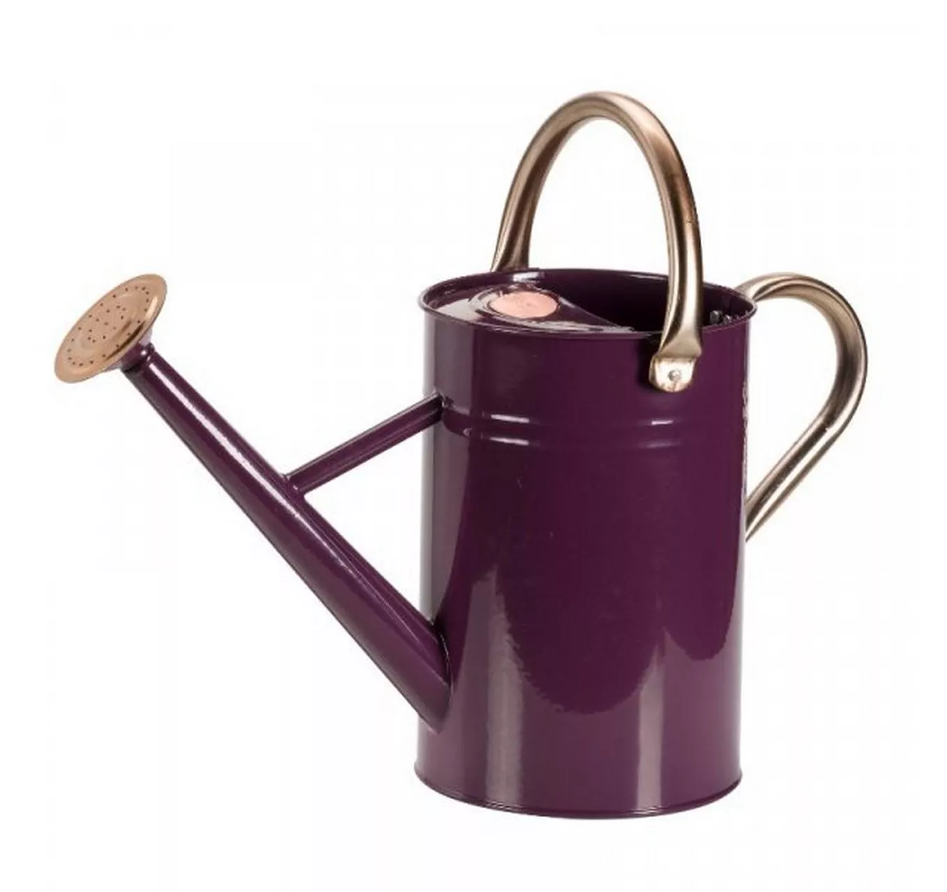 Metal Watering Can 9L Violet