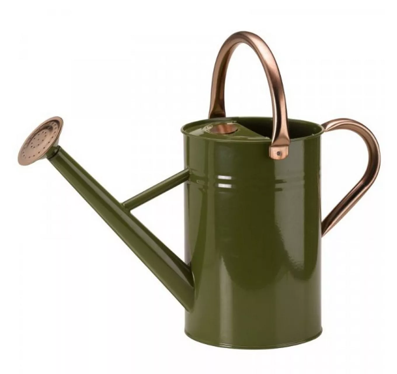 Metal Watering Can 4.5L Sage