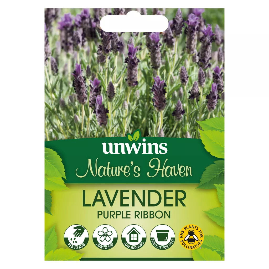 NH Lavender Purple Ribbon