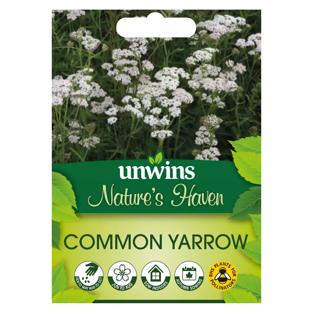 NH Common Yarrow