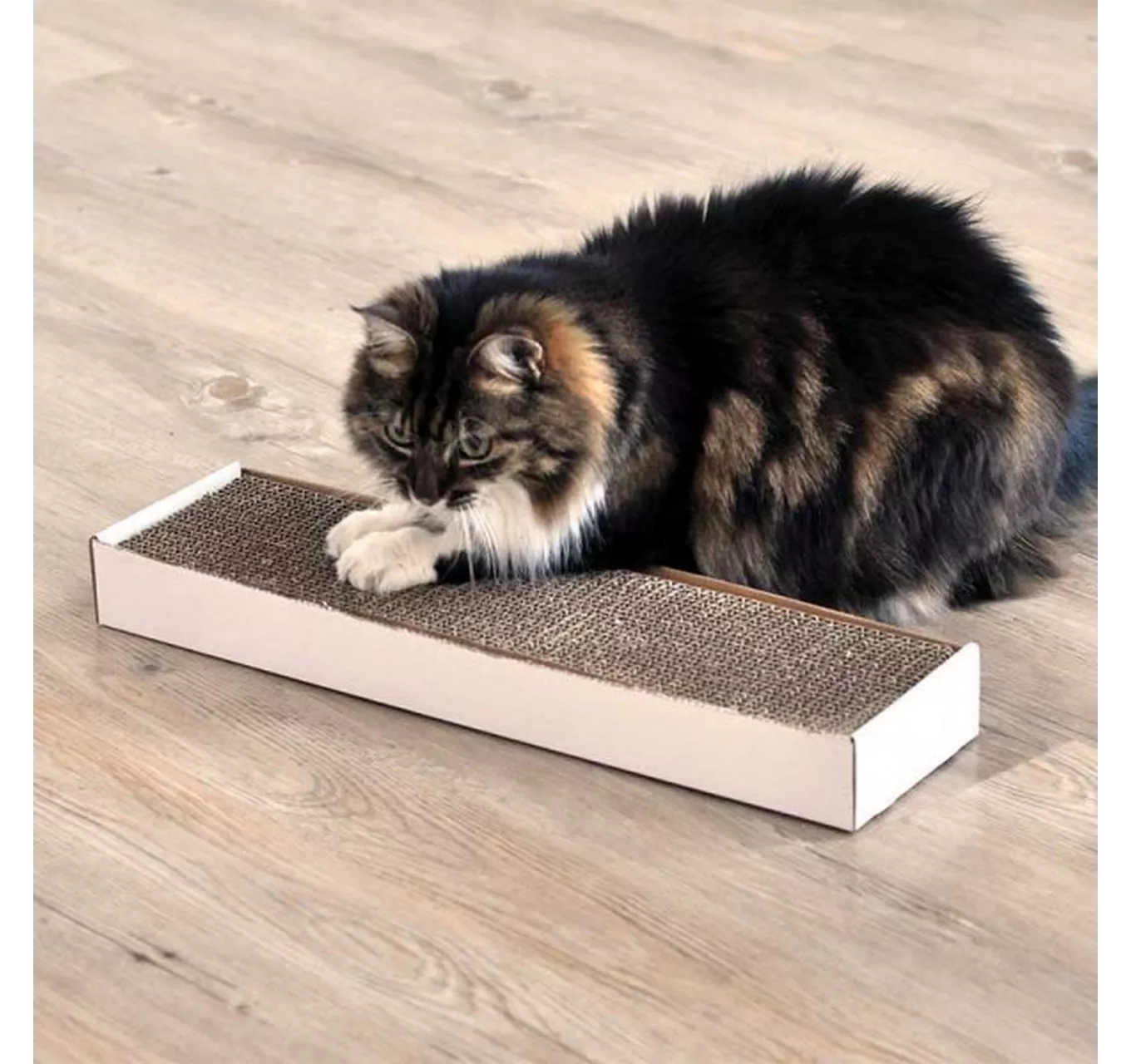 Nip-It Catnip Scratch Pad