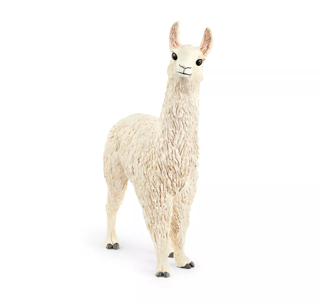 Llama