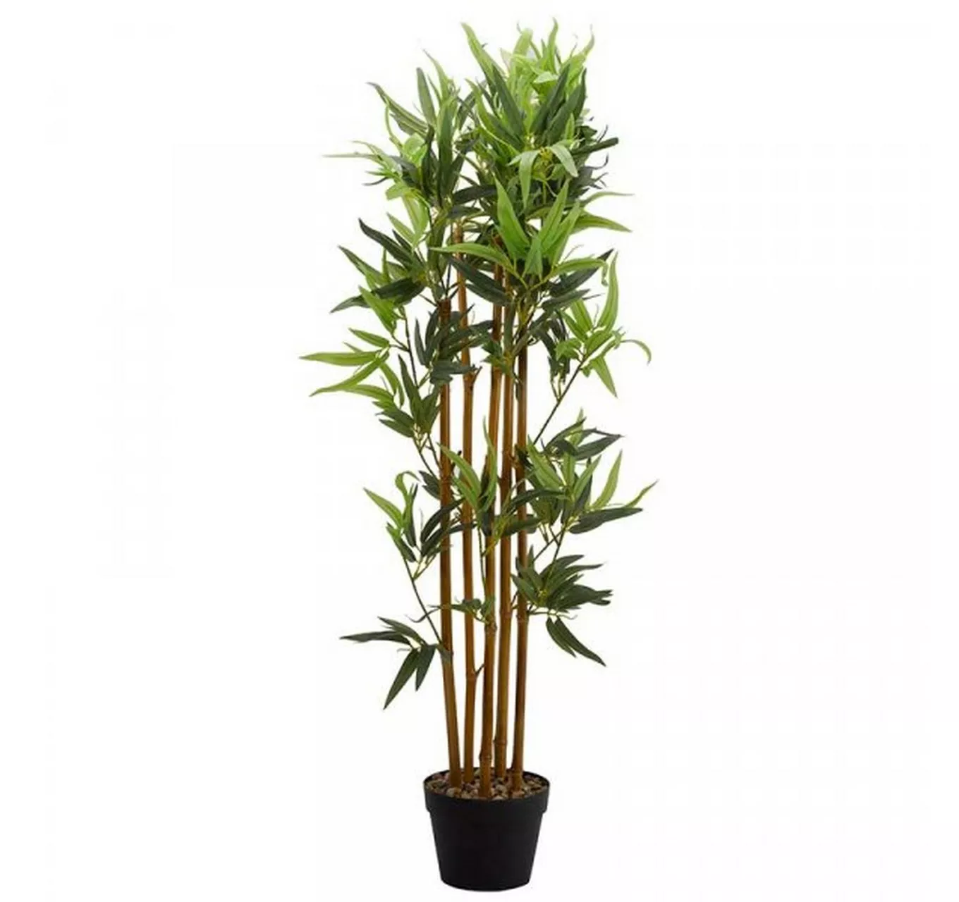 Bamboo 120cm