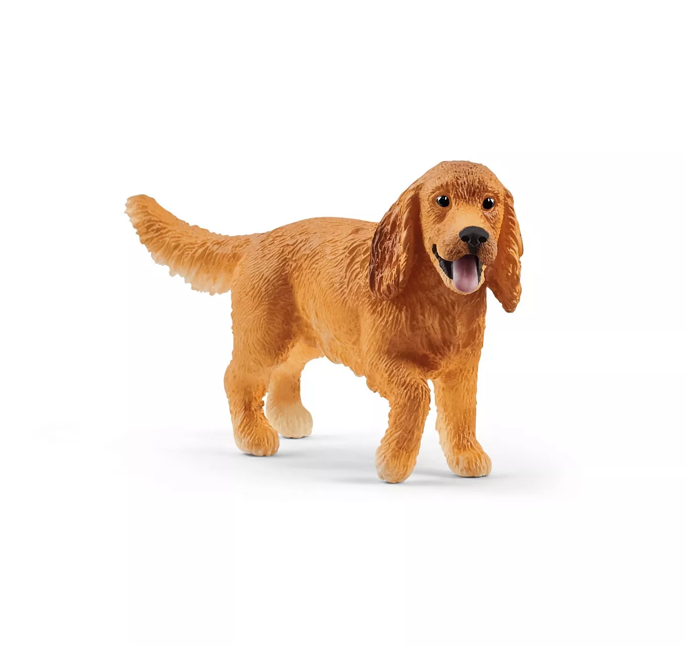 English Cocker Spaniel