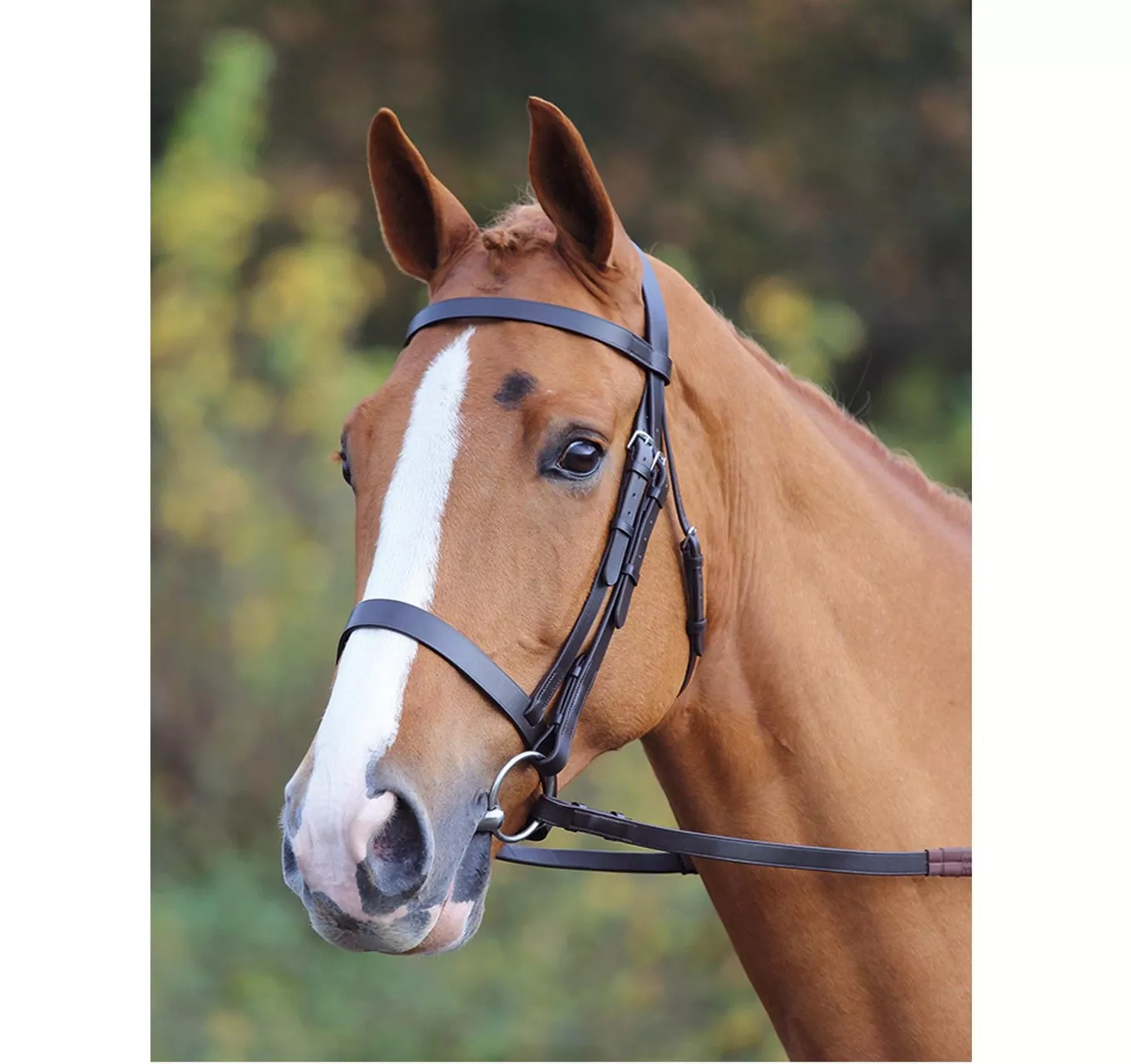 Plain Bridle