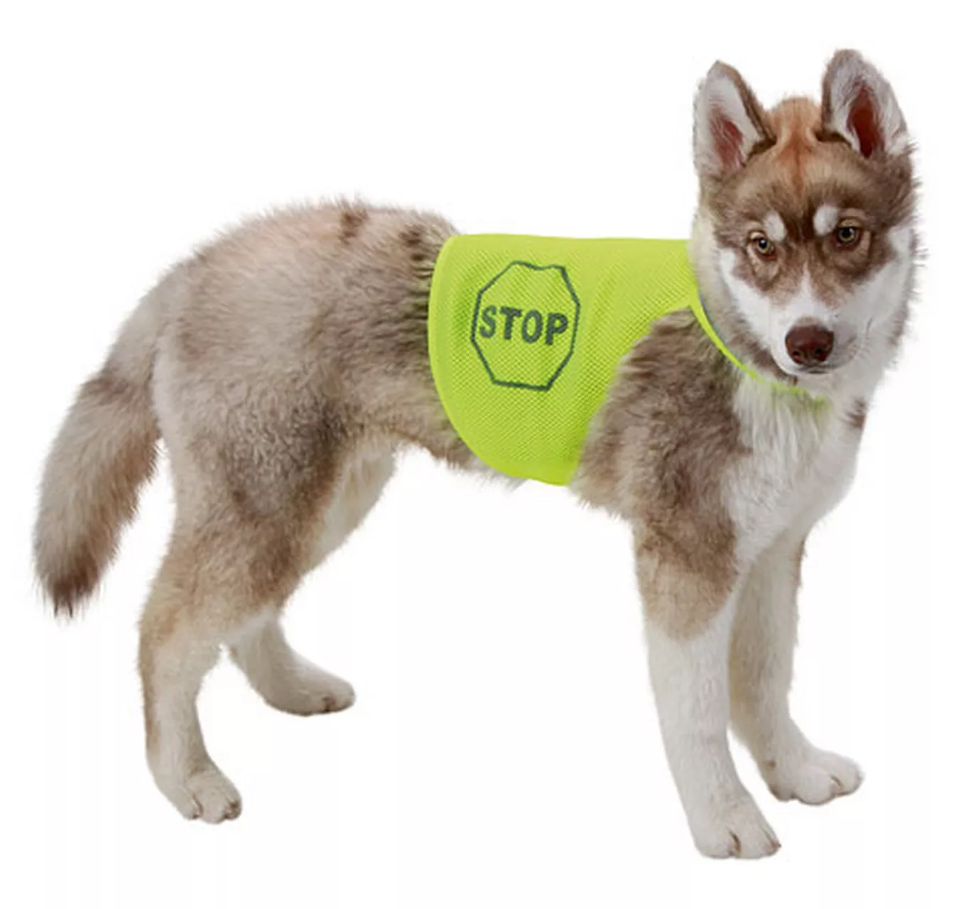 HI-VIZ Safety Vest