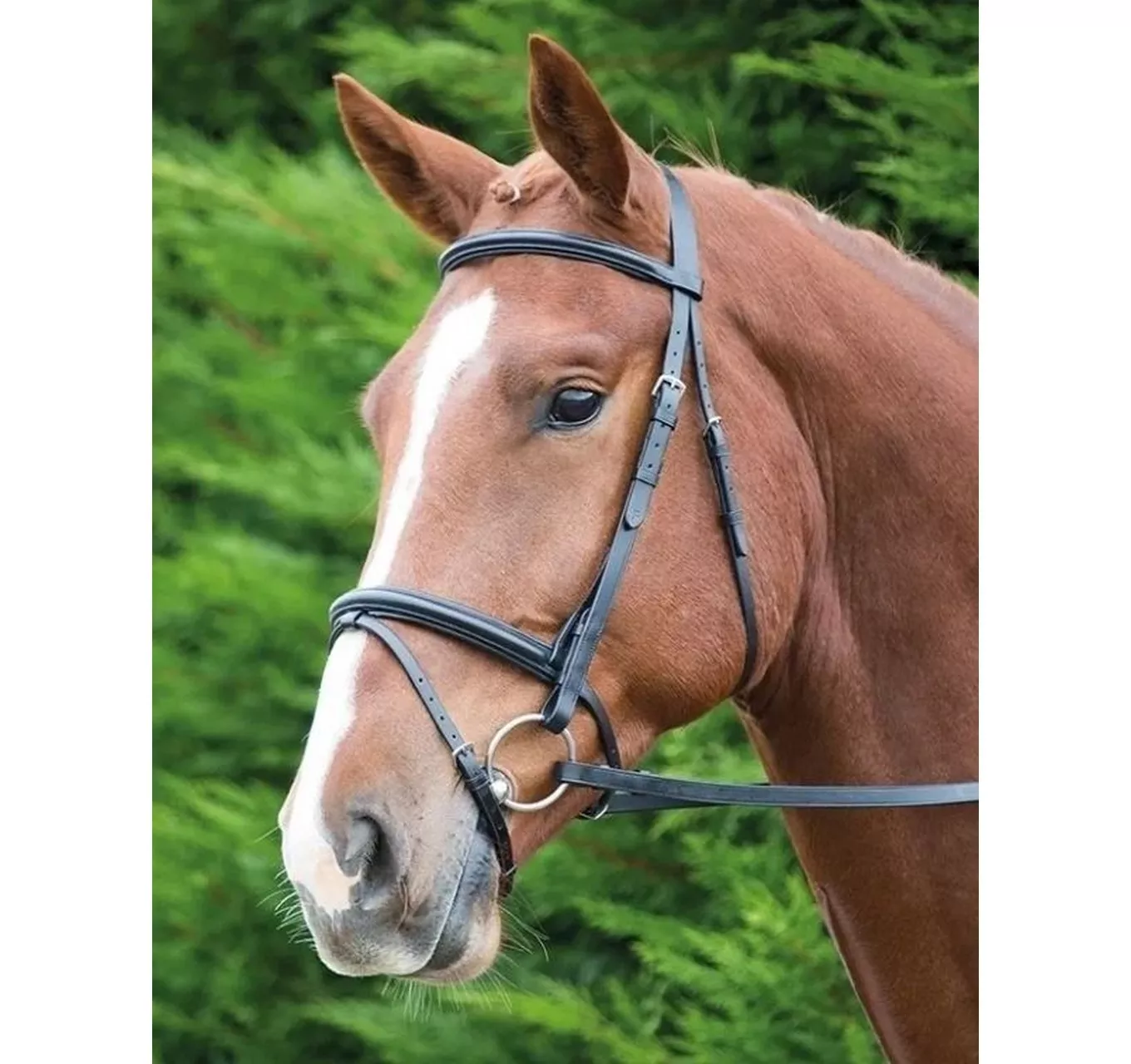 Raised Flash Bridle