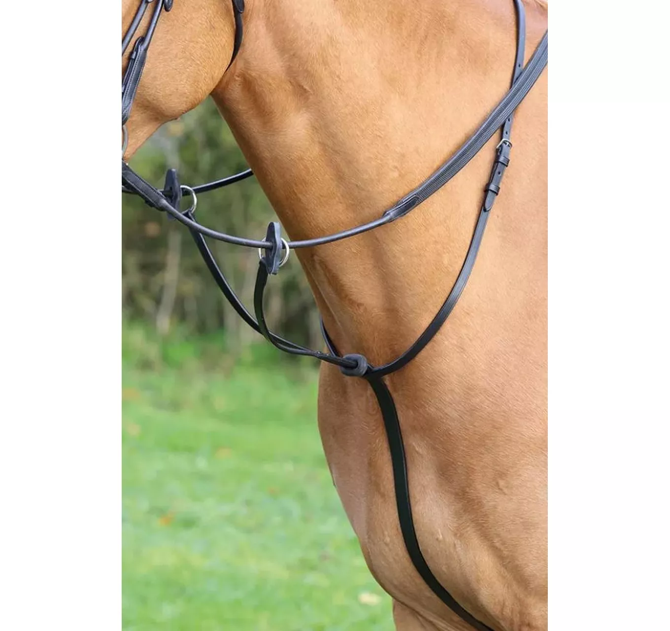 Running Martingale