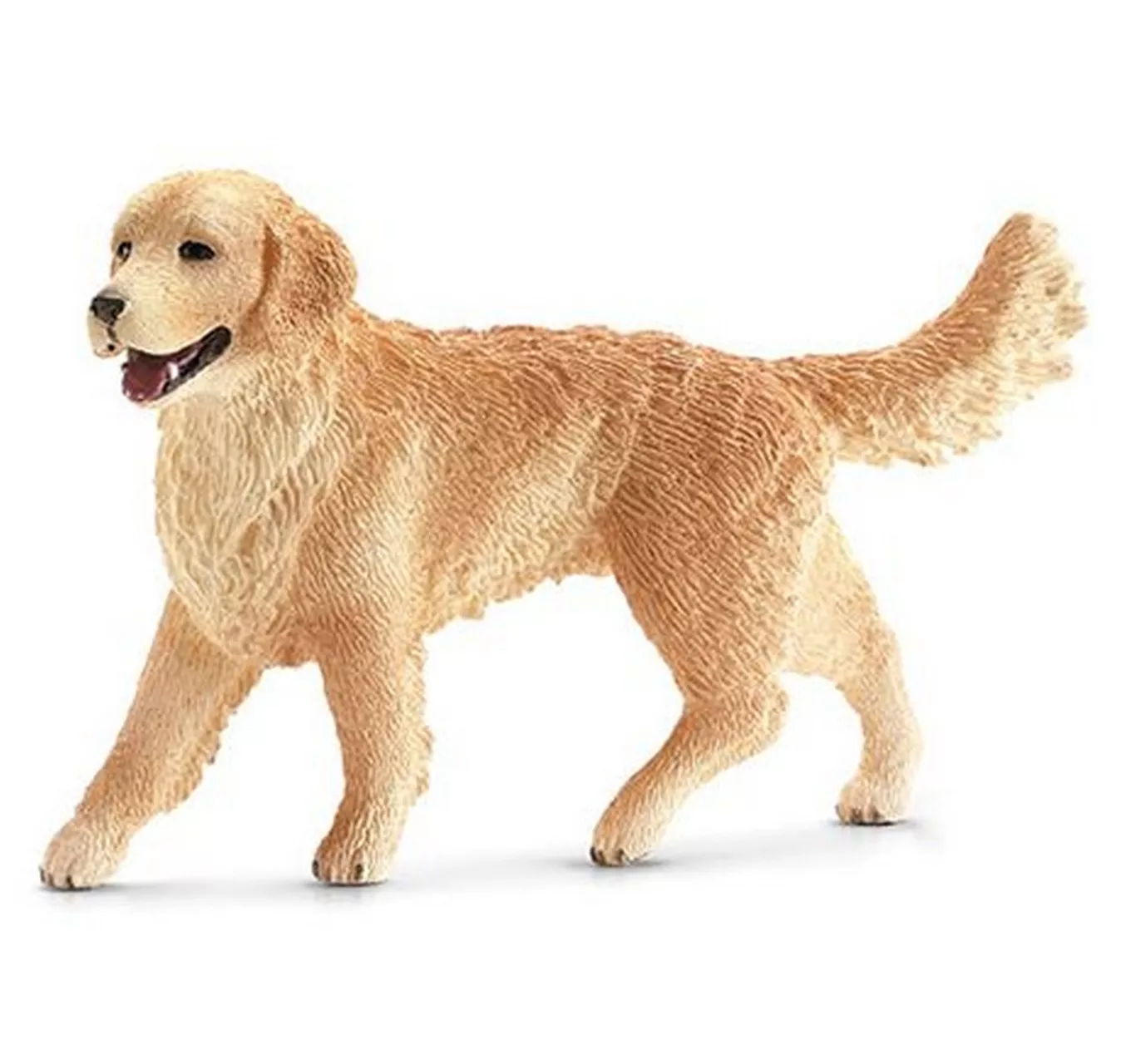 Golden Retriever, Female