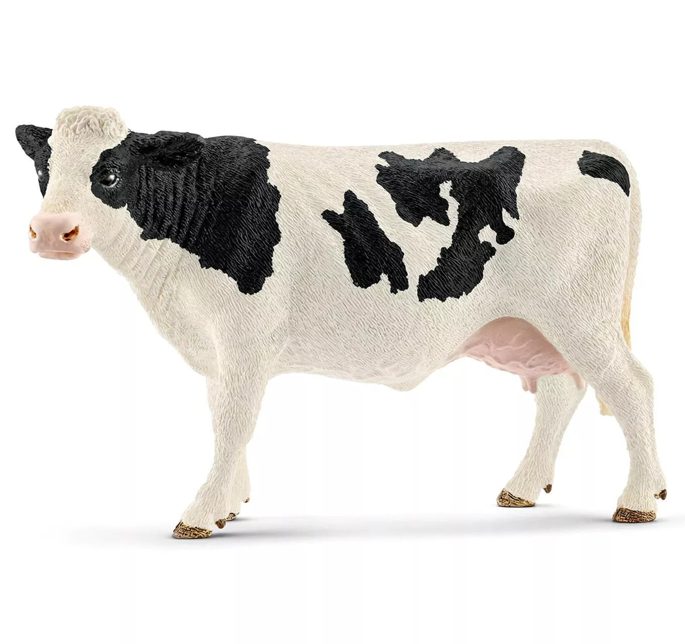 Holstein Cow