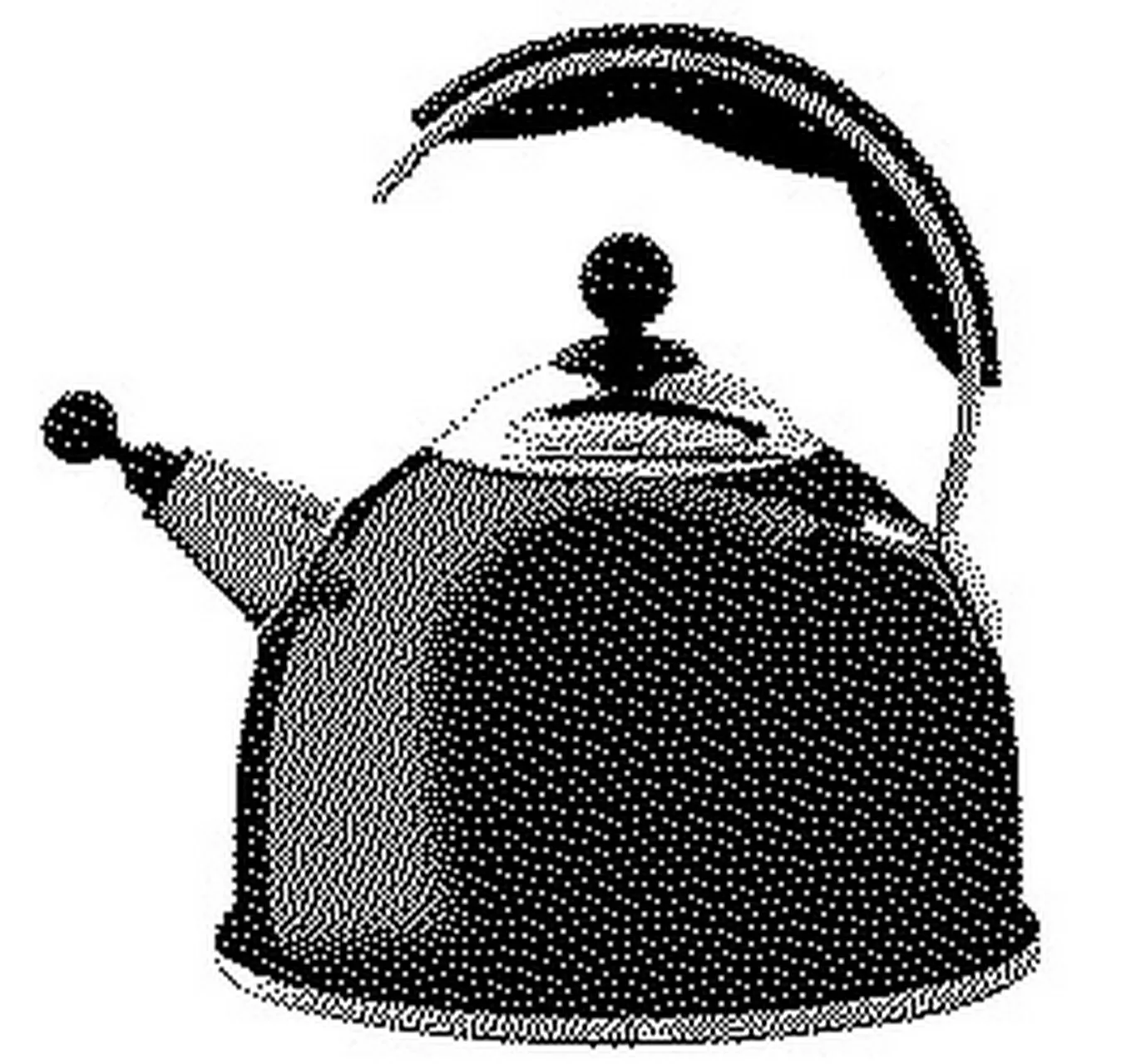 AGA Stainless Steel Whistling Kettle - Black