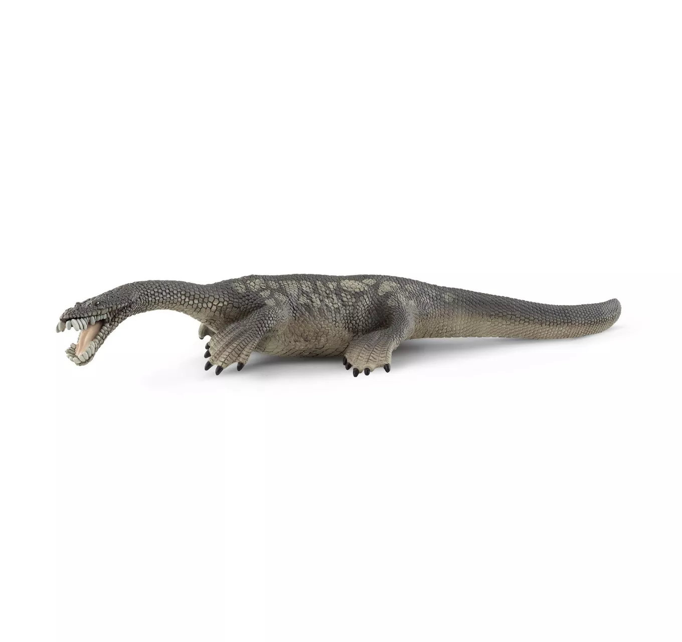 Nothosaurus