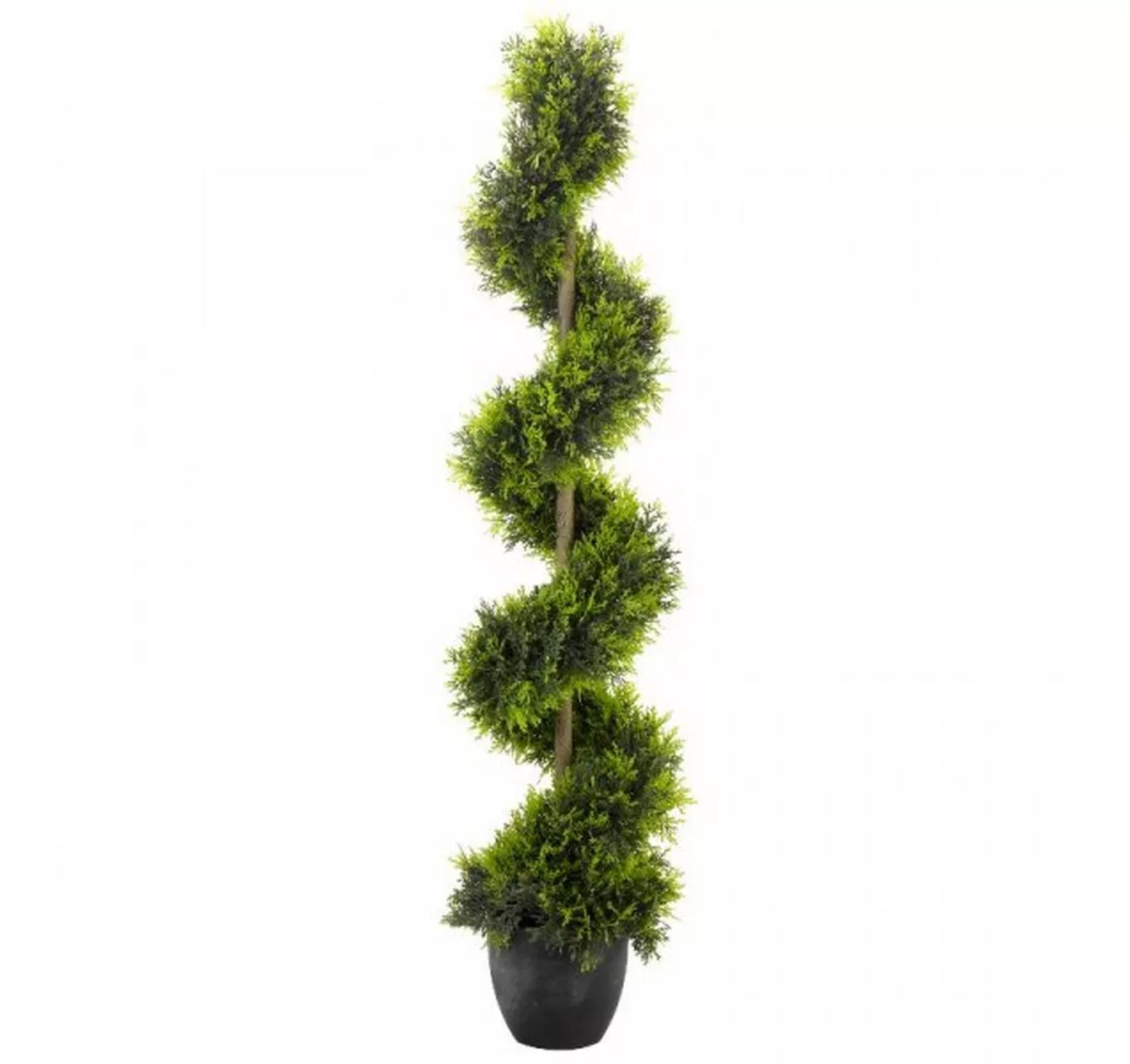 Cypress Topiary Twirl 120cm