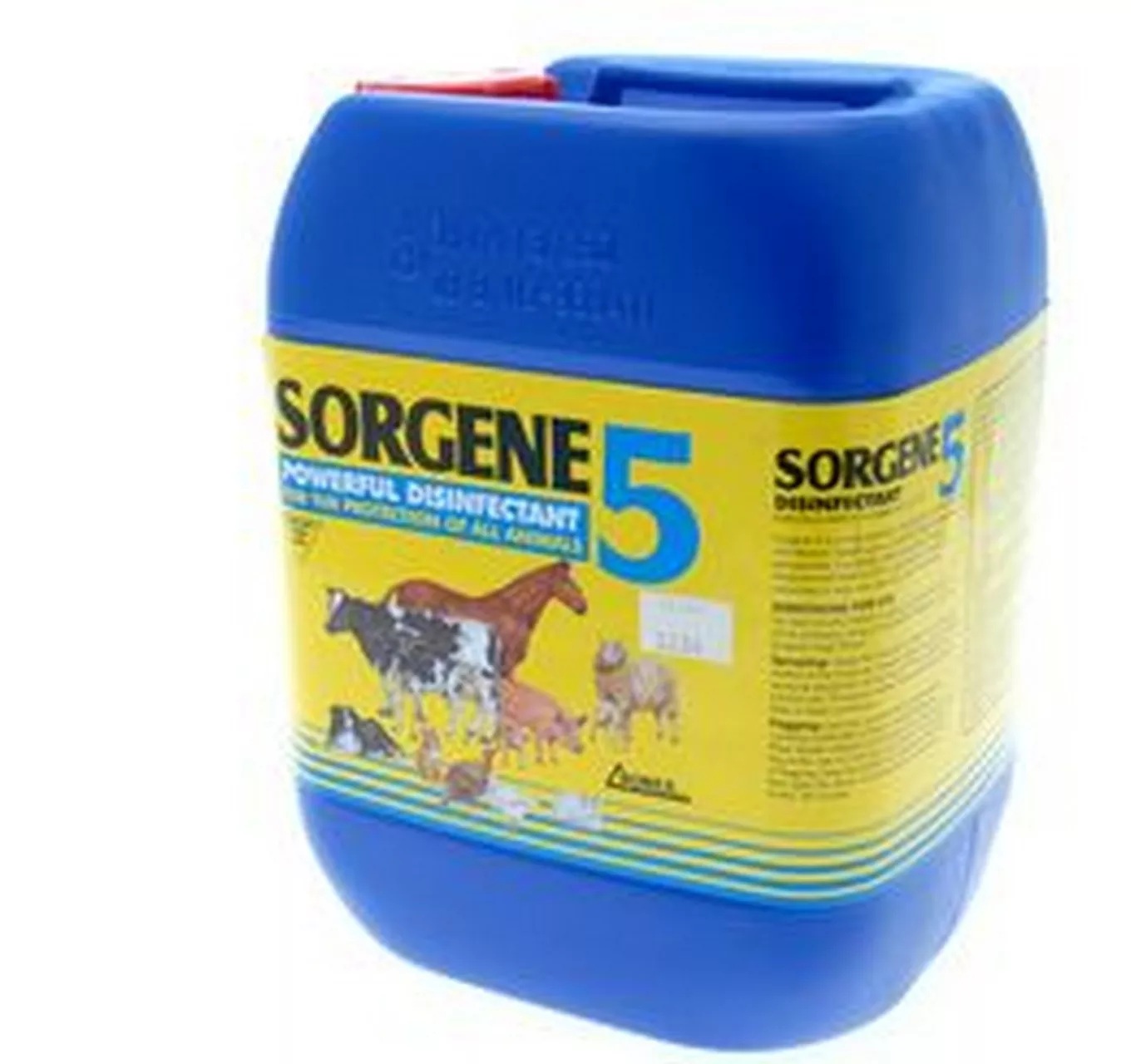 Sorgene 5 5L