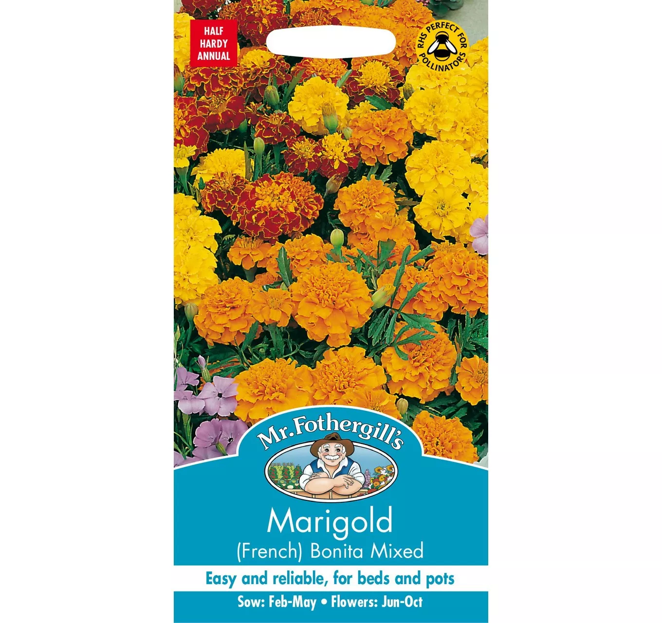 Marigold Bonita Mixed