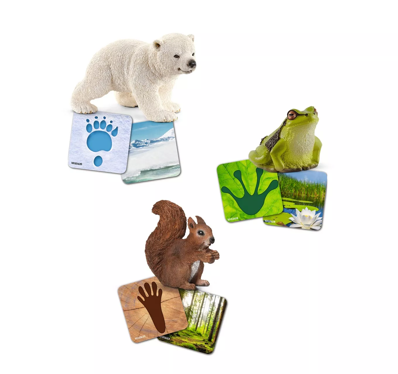 Schleich Wild Life Flash Cards