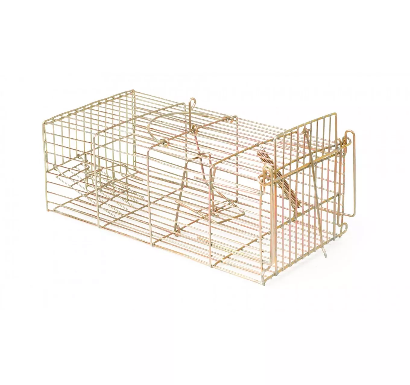 Racan Rat Cage Trap Humane