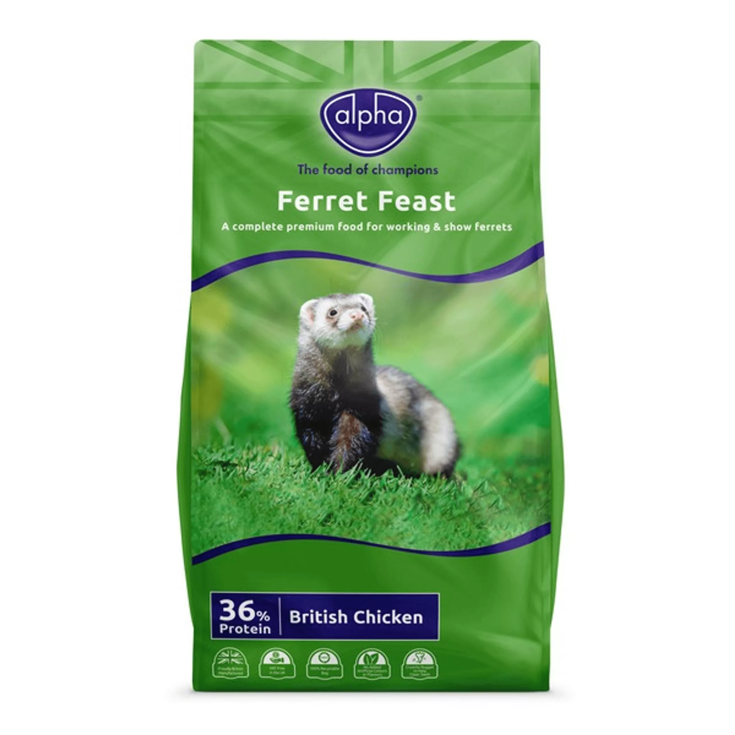 Alpha Ferret Feast 10kg